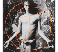 J. We Are The Majority (CD)