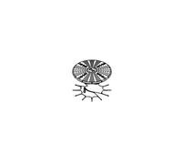 J355ha m30 tete borne a leds j355 - FAAC 63000947