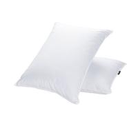 JA Comforts Lot de 2 oreillers de lit en Duvet d'oie et Plumes pour Dormir StandardQueen (50,8 x 71,1 cm) Poids de Remplissage : 1 048,9 g Collection hôtel Garnissage en Duvet d'oie Housse