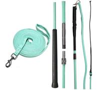 JA Horse JA0041 Kit de longe - Fouet de longe divisible 180/200 cm & laisse longue 8 m démontable extra souple avec sac (menthe, 200 cm)