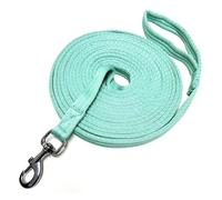 JA Horse JA4012 Laisse de longe pour équitation - Extra douce en nylon avec dragonne et mousqueton antidérapant - Sac inclus (menthe)