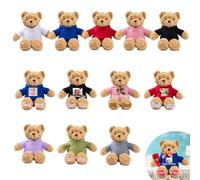 JABECODIFA Lot de 12 Ours en Peluche Personnalisés 25cm avec Photo et Nom, pour la Saint-Valentin, Anniversaire, Un Mariage, Cadeau de Classe Offert par Un Professeur