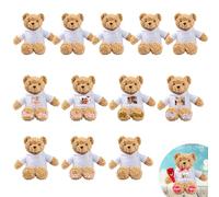 JABECODIFA Lot de 12 Ours en Peluche Personnalisés 30cm avec Photo et Nom, pour la Saint-Valentin, Anniversaire, Un Mariage, Cadeau de Classe Offert par Un Professeur