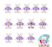 JABECODIFA Lot de 12 Ours en Peluche Personnalisés de 25cm avec Photo et Nom, pour Noël, Un Mariage, Cadeau Classe Offert par Un Professeur