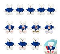 JABECODIFA Lot de 12 Ours en Peluche Personnalisés de 25cm avec Photo et Nom, pour Noël, Un Mariage, Cadeau Classe Offert par Un Professeur
