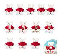 JABECODIFA Lot de 12 Ours en Peluche Personnalisés de 30cm avec Photo et Nom, pour Noël, Un Mariage, Cadeau Classe Offert par Un Professeur