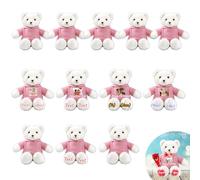 JABECODIFA Lot de 12 Ours en Peluche Personnalisés de 30cm avec Photo et Nom, pour Noël, Un Mariage, Cadeau Classe Offert par Un Professeur