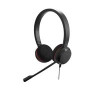 Jabra Evolve 20 Stereo Headset - Casque certifié Microsoft avec Suppression Passive du Bruit, Gestion Facile des appels, indicateurs LED, Plug & Play, USB-C avec contrôleur - Noir