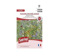 Jachère Fleurie pour massif haut