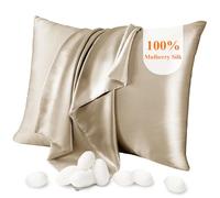 Jaciu Taie d'oreiller 100% Soie, pour Cheveux et Peau, des Deux côtés Taie d'oreiller en Soie de mûrier 21 Momme 600 Fils au Pouce Doux et Respirant （Abricot, Roi: 51x91cm, 1 pièce）