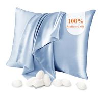 Jaciu Taie d'oreiller 100% Soie, pour Cheveux et Peau, des Deux côtés Taie d'oreiller en Soie de mûrier 21 Momme 600 Fils au Pouce Doux et Respirant （Bleu Clair, Reine: 51x76cm, 1 pièce）