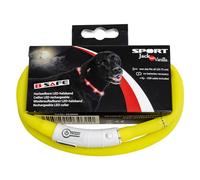 JACK AND VANILLA, Collier avec LED, élégant pour Animaux, éclairage réglable, Design Moderne, Longueur Ajustable de 20 à 75 cm, Couleur Jaune, pour Toutes Races, Modèle LED