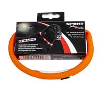 JACK AND VANILLA, Collier avec LED, élégant pour Animaux, éclairage réglable, Design Moderne, Longueur Ajustable de 20 à 75 cm, Couleur Orange, pour Toutes Races, Modèle LED
