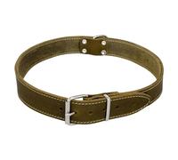 JACK AND VANILLA, Collier en Cuir pour Chien, Normal, Confortable et Durable, Boucle sécurisée, Ajustable, Couleur Vert, 10 mm x 25 cm, Modèle Cuir Gras