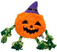 Jack and Vanilla Halloween Citrouille