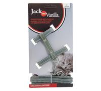 JACK AND VANILLA, Harnais de Chat en Cuir, avec Laisse 100 cm, Ajustement Personnalisé, Design Élégant, Confort Optimal, Idéal pour Promenades, Taille 10mm, Gris, Modèle Cuir Gras