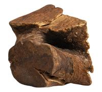 JACK AND VANILLA, Jouet à mâcher Naturel en Bois pour Chiens, Durable et sain, réduit Le tartre, idéal pour Chiens Moyens, 100% Naturel, 351-500g, Racine d'arbre, Modèle All Nature