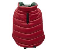 JACK AND VANILLA, Jouet Flottant pour Animaux, Résistant aux Morsures, Couleurs Vives Rouge/Jaune/Bleu, Idéal pour Jeux Aquatiques, 20 cm, Parfait pour Petits et Moyens Chiens, Modèle Rex