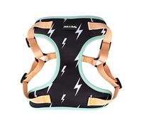 Jack & Bully Harnais pour chien anti-traction réglable en néoprène doux avec maille respirante, toutes saisons, bouledogue français (taille M)