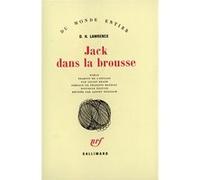 Jack dans la brousse D. H. (David Herbert) Lawrence (Auteur), François Mauriac (Préface), Lilian Brach (Traduction)