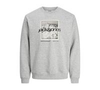JACK & JONES Jcoflare Sweat à col Rond imprimé sur Le Devant, Gris Clair chiné, XS