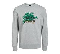 JACK & JONES Jcosalty Sweat Crew Neck FST Maillot de survêtement, Gris Clair chiné/détail : Nouveau Lgm, M Homme