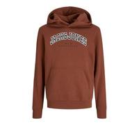 JACK & JONES Jjecaleb Varsity Noos JNR Sweat à Capuche pour Homme, Henné, 164