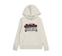 Jack & Jones Sweat à capuche Jjelogo AW25 Noos JNR pour homme Blanc-Gris Taille 176