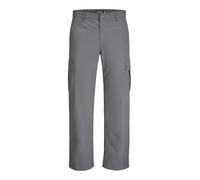 JACK & JONES Pantalon Cargo pour Homme, Coupe Ample, Pantalon Cargo, Gris, 32W / 32L