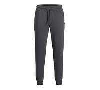 Jack & Jones Gordon Shark Viy Pants Gris M Homme