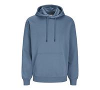 JACK&JONES PLUS JJEBRADLEY Noos PLS Sweat à Capuche, oceanview, 4XL