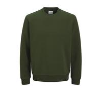 Jack & Jones Plus Sweat-shirt 'JJEBradley' vert, Taille 6XL