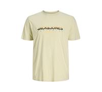 Jack & Jones Plus T-Shirt 'JORCANGGU' vert pastel / orange clair / noir, Taille 6XL