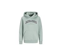 JACK & JONES Sweat à capuche pour garçon - Hoodie JJECALEB vert clair | 152