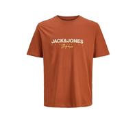 JACK & JONES Tee Jorcanggu T-Shirt SS Crew Neck FST JNR, Arabian Spice, 12 Ans Hommes