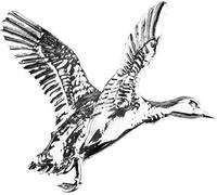 Jack Pyke - Broche style campagne/chasse - Canard
