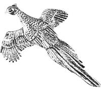 Jack Pyke - Broche style campagne/chasse - Faisan