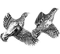 Jack Pyke - Broche style campagne/chasse - Perdrix