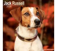 Jack Russell Calendar 2026 Square Dog Breed Wall Calendar - 16 Month Calendar Book