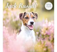 Jack Russell Calendrier 2026 Deluxe