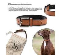 Jack & Russell Collier en Cuir de qualité supérieure pour Chien Lilly - Collier en Cuir pour Chien Cuir de Veau - Collier en Cuir pour Chien Lilly en Cuir véritable (S, Marron)