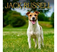 Jack Russell Terrier Calendar 2027: Dog Portraits and Breed Scenes