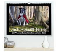 Jack Russell Terrier.....Ein Verwandlungskünstler namens Jake (hochwertiger Premium Wandkalender 2026 DIN A2 quer), Kunstdruck in Hochglanz: Monatskalender mit einem Jack Russell