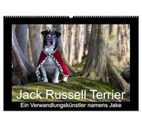 Jack Russell Terrier.....Ein Verwandlungskünstler namens Jake (Wandkalender 2026 DIN A2 quer), CALVENDO Monatskalender: Monatskalender mit einem Jack Russell