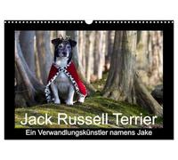 Jack Russell Terrier.....Ein Verwandlungskünstler namens Jake (Wandkalender 2026 DIN A3 quer), CALVENDO Monatskalender: Monatskalender mit einem Jack Russell