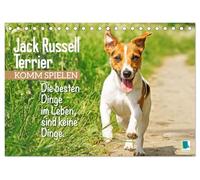 Jack Russell Terrier: Komm spielen (Tischkalender 2026 DIN A5 quer), CALVENDO Monatskalender: Die besten Dinge im Leben, sind keine Dinge: Jack Russell Terrier