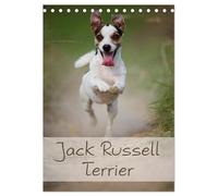 Jack Russell Terrier (Tischkalender 2026 DIN A5 hoch), CALVENDO Monatskalender: Ein schöner Kalender rund um den Jack Russell Terrier