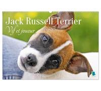 Jack Russell Terrier : vif et joueur (Calendrier mural 2026 DIN A2 vertical), CALVENDO calendrier mensuel: Jack Russell Terrier : le compagnon idéal pour le sport et les activités physiques