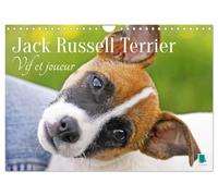 Jack Russell Terrier : vif et joueur (Calendrier mural 2026 DIN A4 vertical), CALVENDO calendrier mensuel: Jack Russell Terrier : le compagnon idéal pour le sport et les activités physiques
