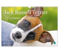 Jack Russell Terrier : vif et joueur (Calendrier mural 2027 DIN A3 vertical), CALVENDO calendrier mensuel: Jack Russell Terrier : le compagnon idéal pour le sport et les activités physiques